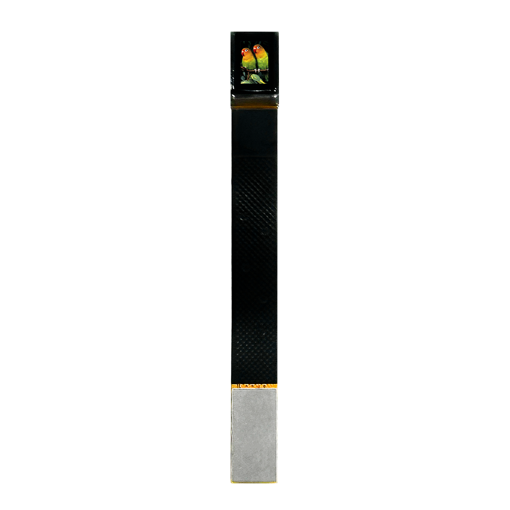 Ar Smart Glasses Display Micro Oled - TAS023 0,23-calowy silikonowy mikrodisplay OLED o